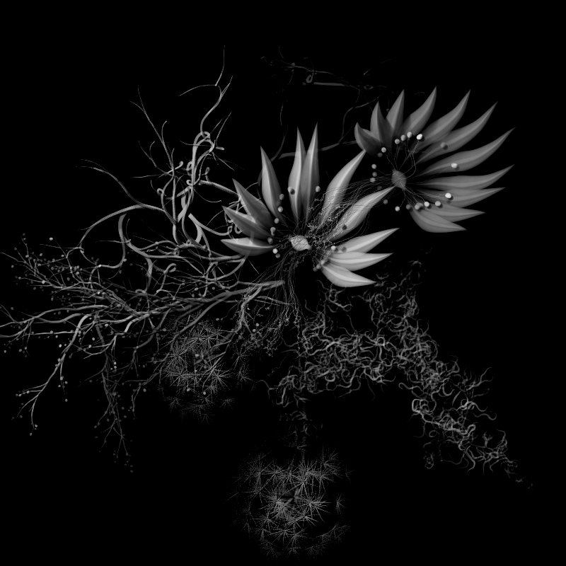 Botanical Ghosts #292