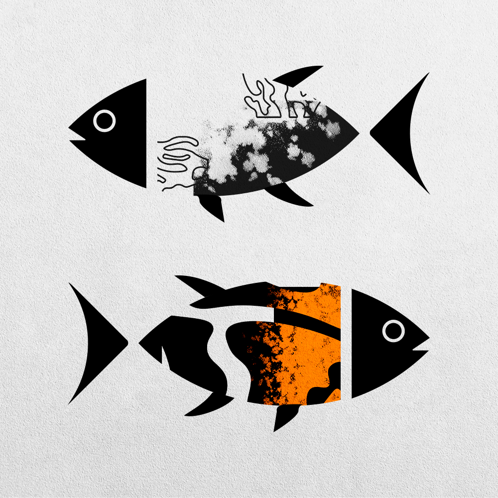 Fish Abstraction #6