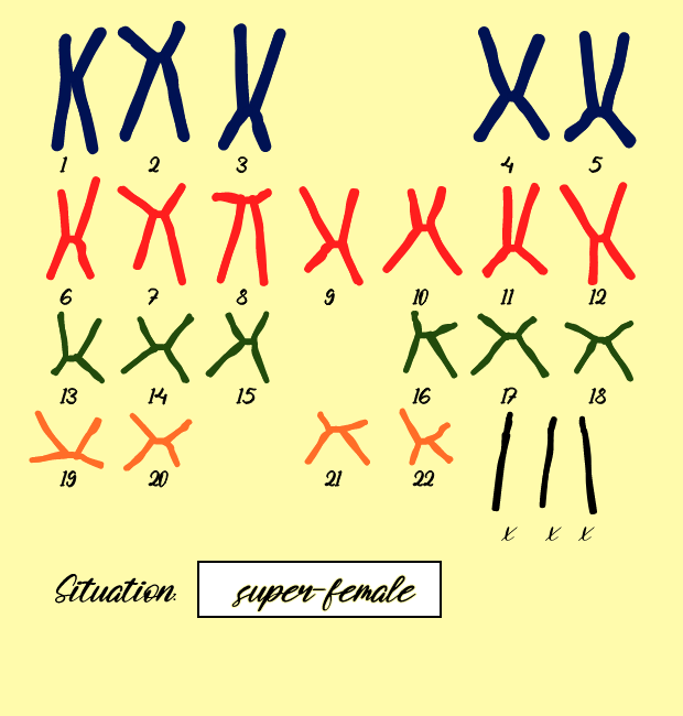 "Karyotype" #10