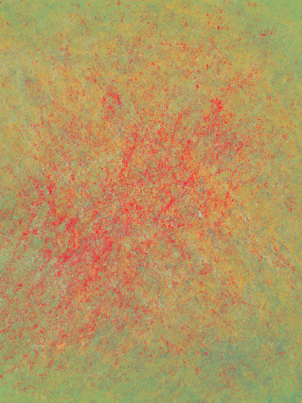 Remains #160