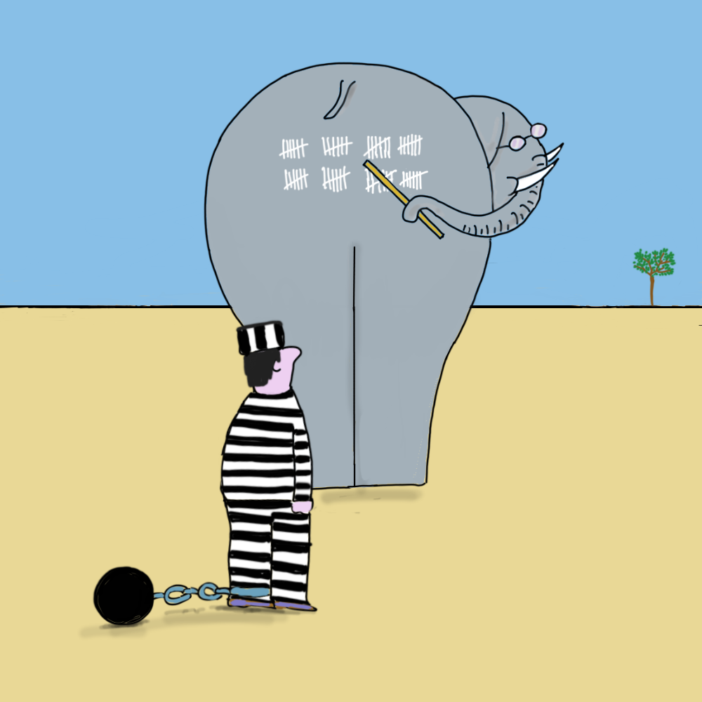 Elephant school #1