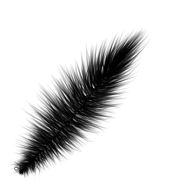 Random Feather #1