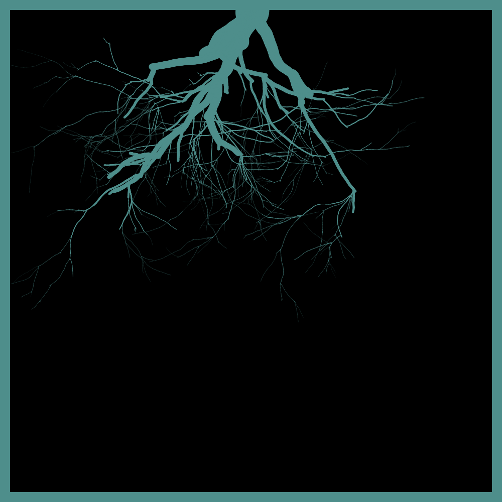 Arbres suspendus #199