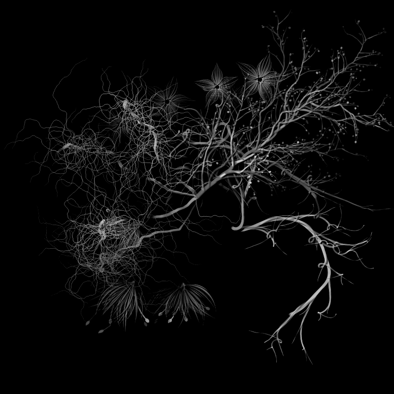 Botanical Ghosts #241