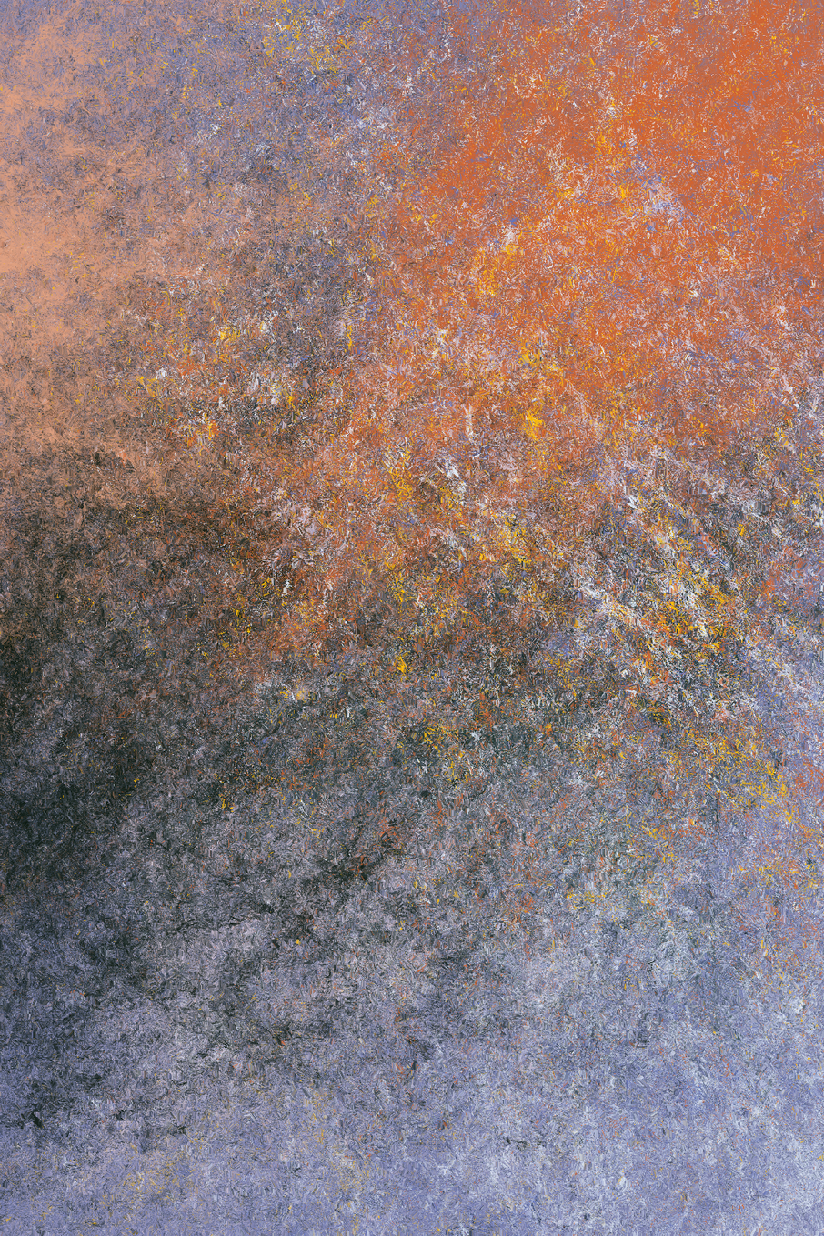 Remains #19