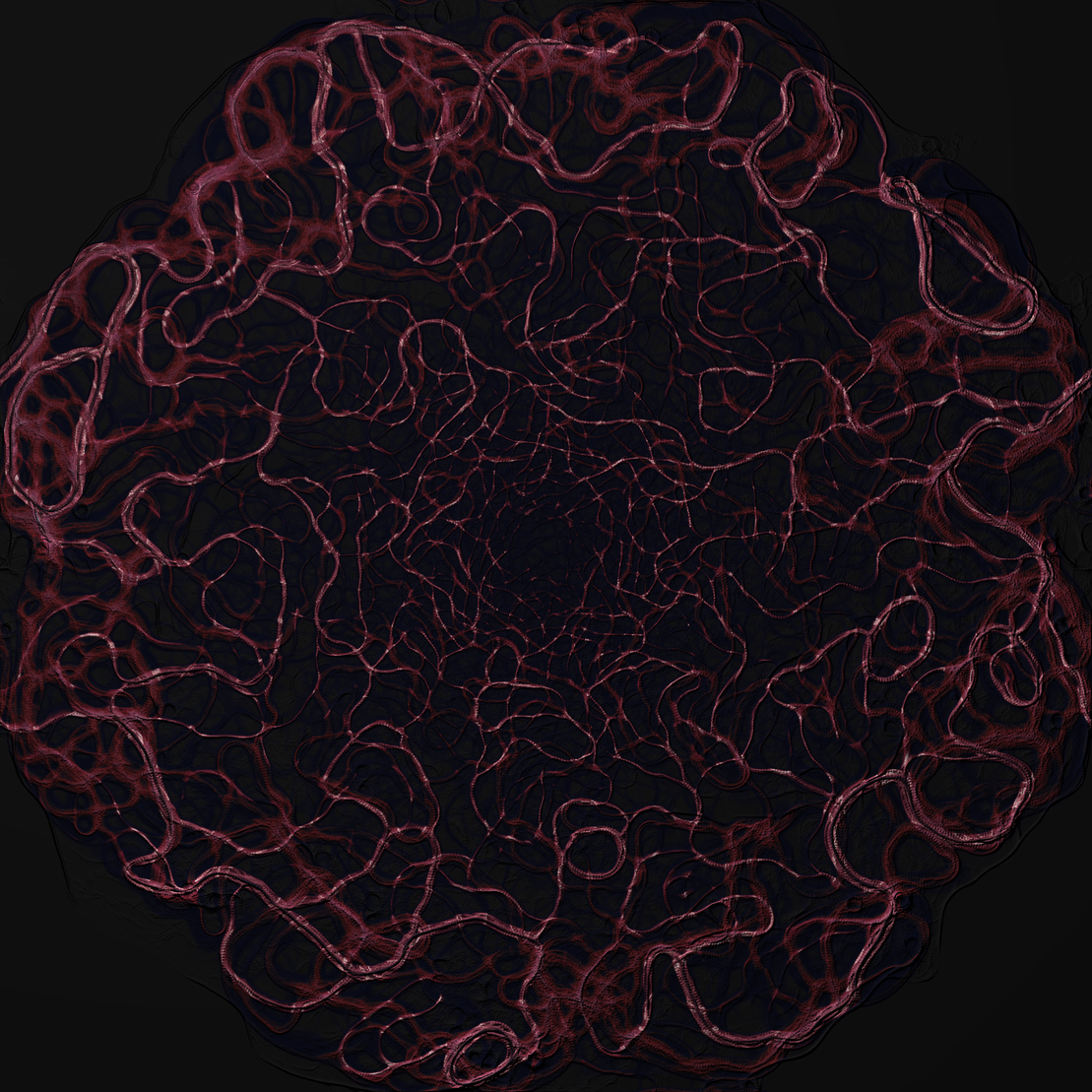coalescence #244
