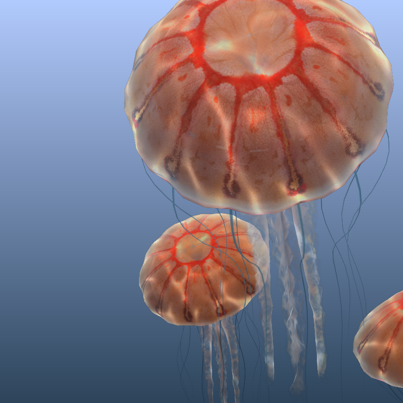 Jellyfish #58