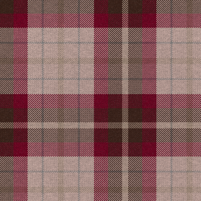 Tartan Cloth #38