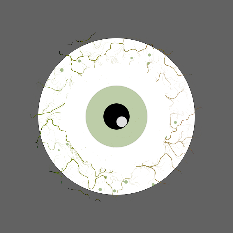 Eyeball after final Exam #3