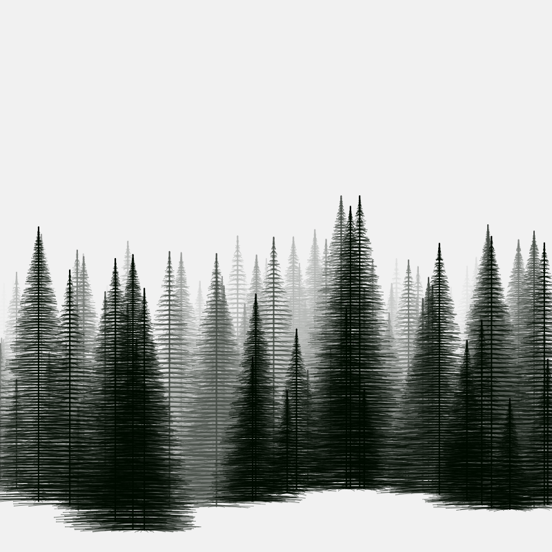 Pine trees in the cold #3