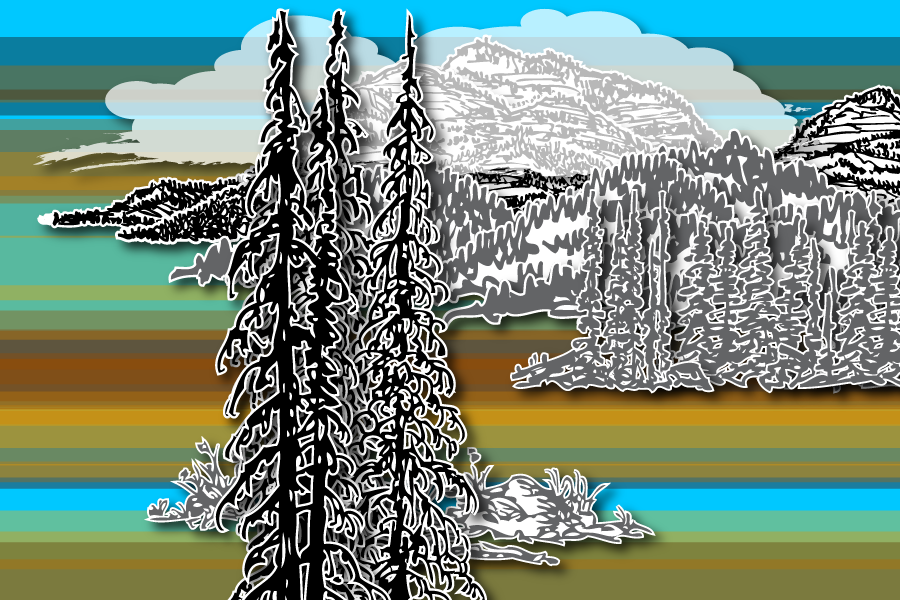 Wild Paper Road #8