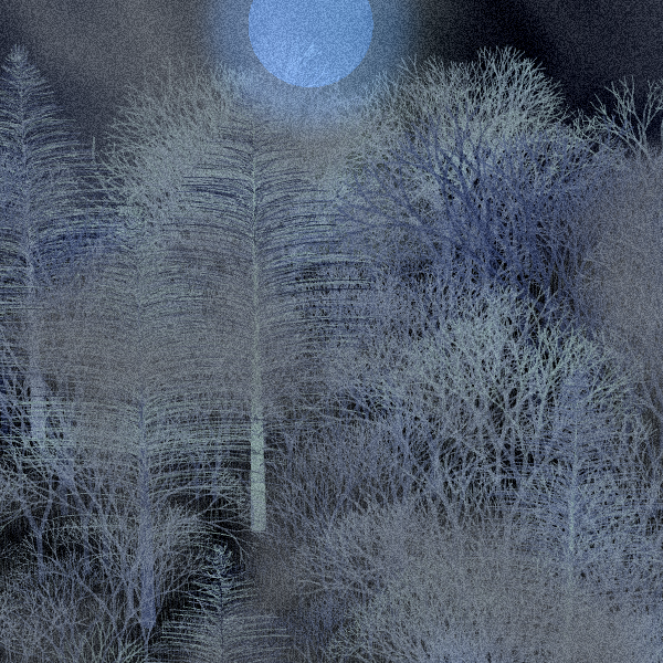 Moonlit Native Bush #100