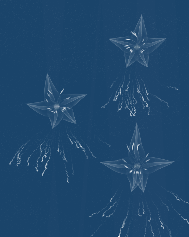 Cyanotypes #253