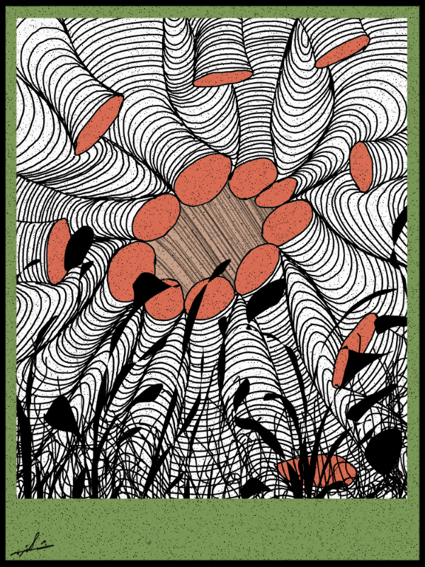 Play with lines #zentangle #25