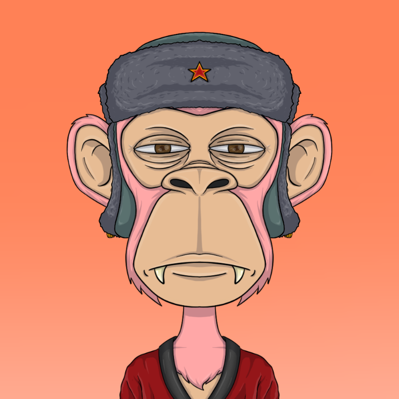 chimpantez #521