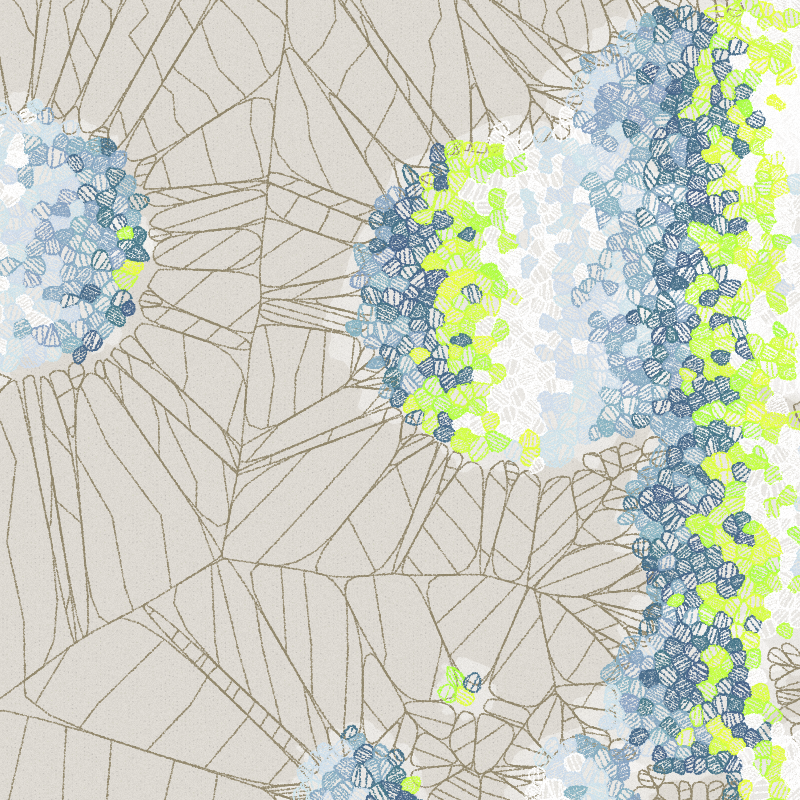 Fractured Cells #67