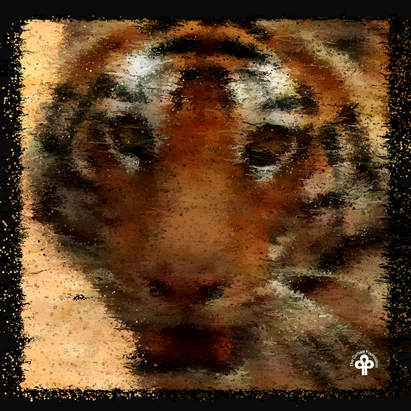 (re)generative tigers #12