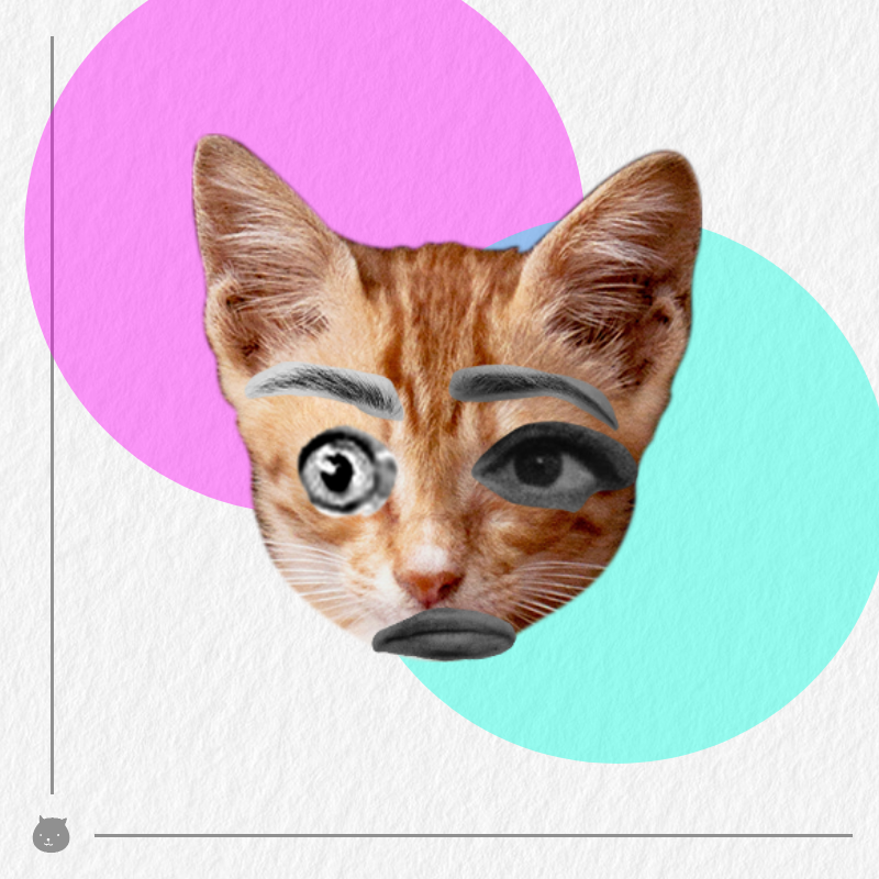 Kittenstein #65