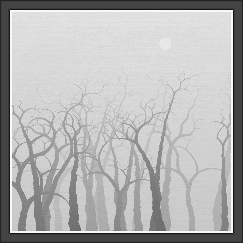 The Foggy Trees #89