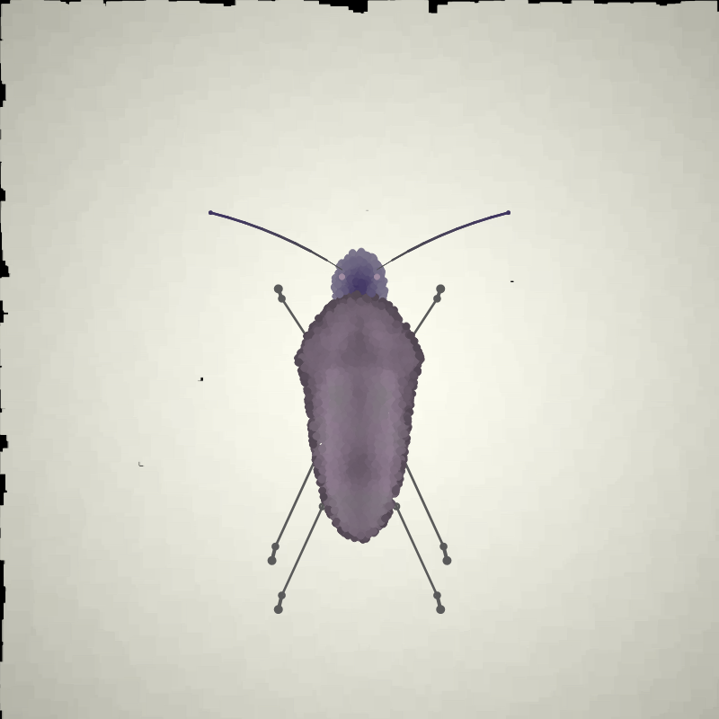 Beetle Sketches #32