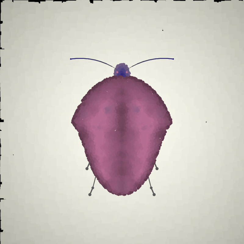 Beetle Sketches #17