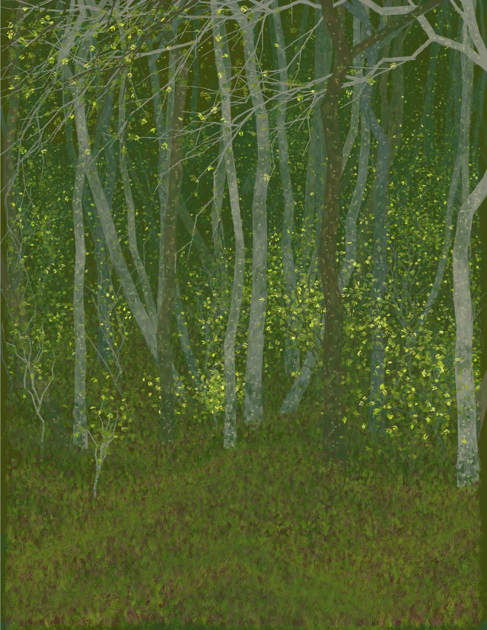 Deep Forest #50