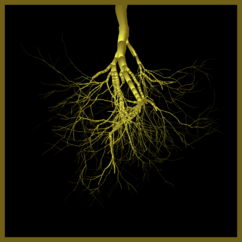 Arbres suspendus #4