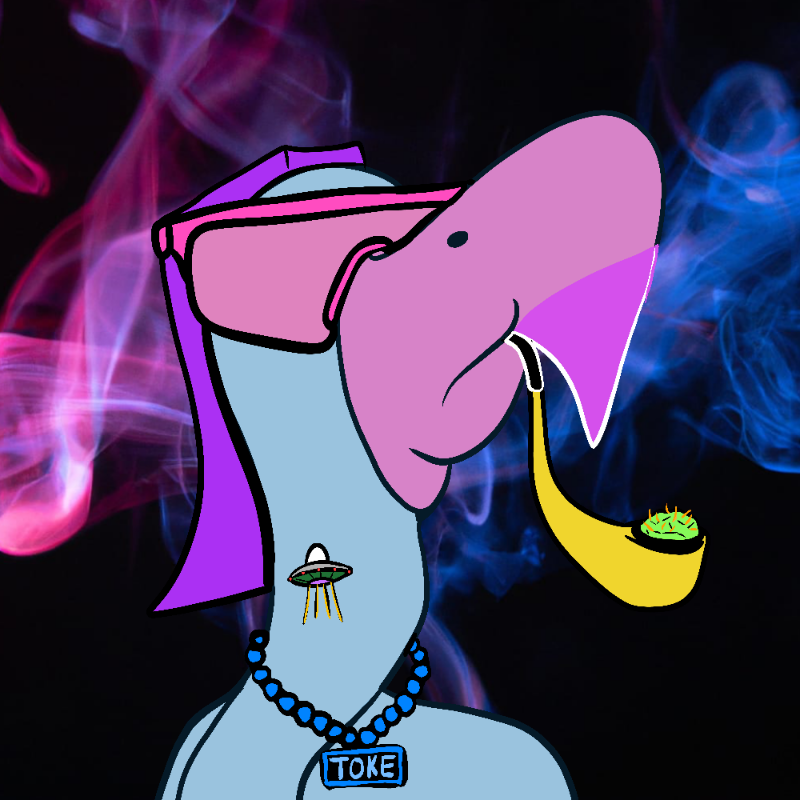 Tokin Flamingos #19