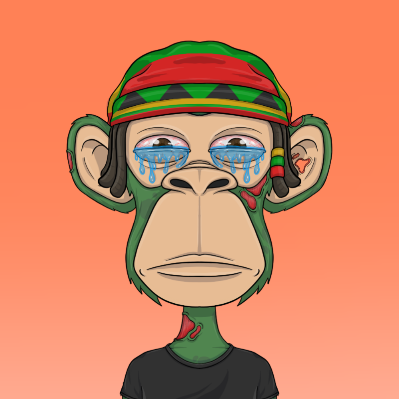 chimpantez #560