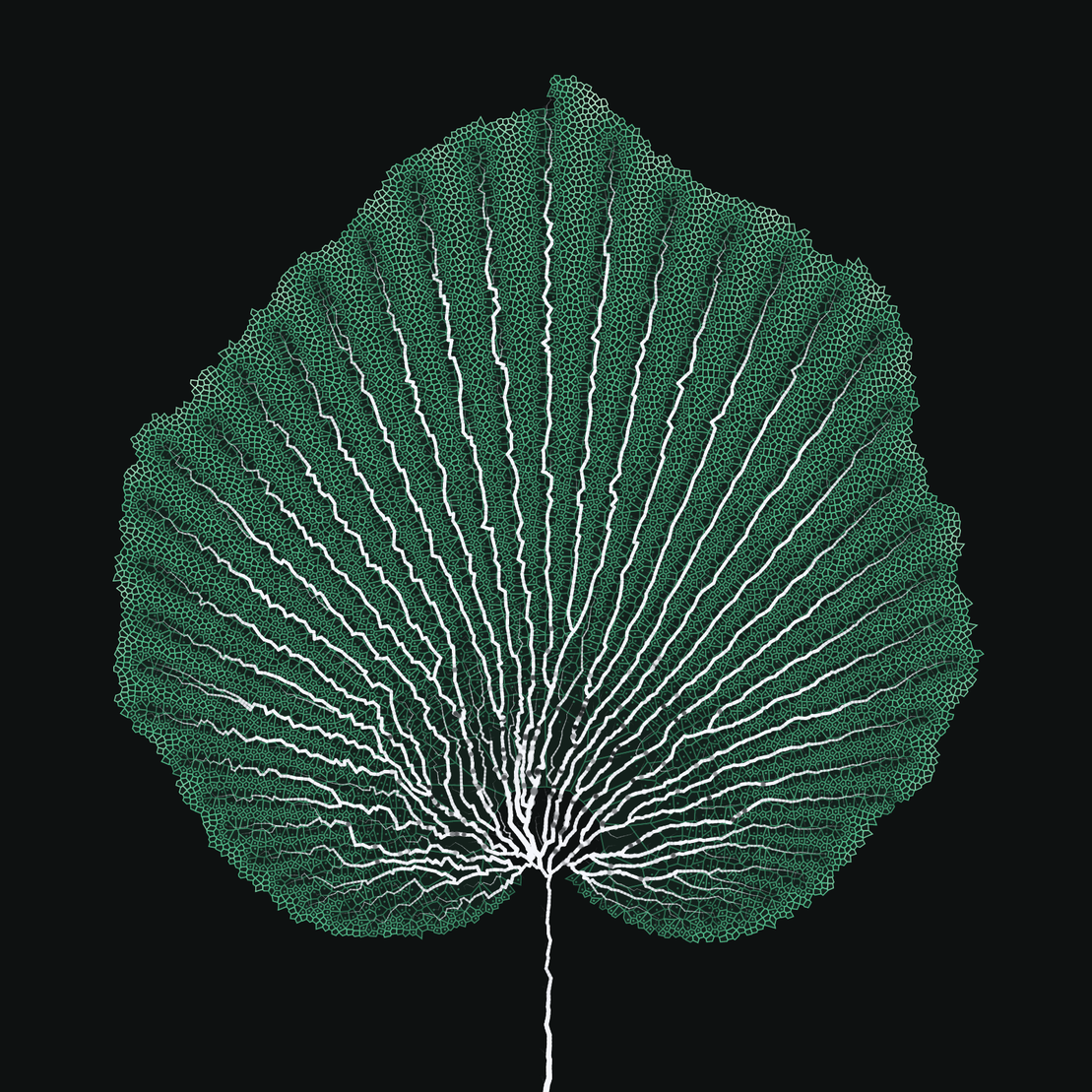 Leaf study #15