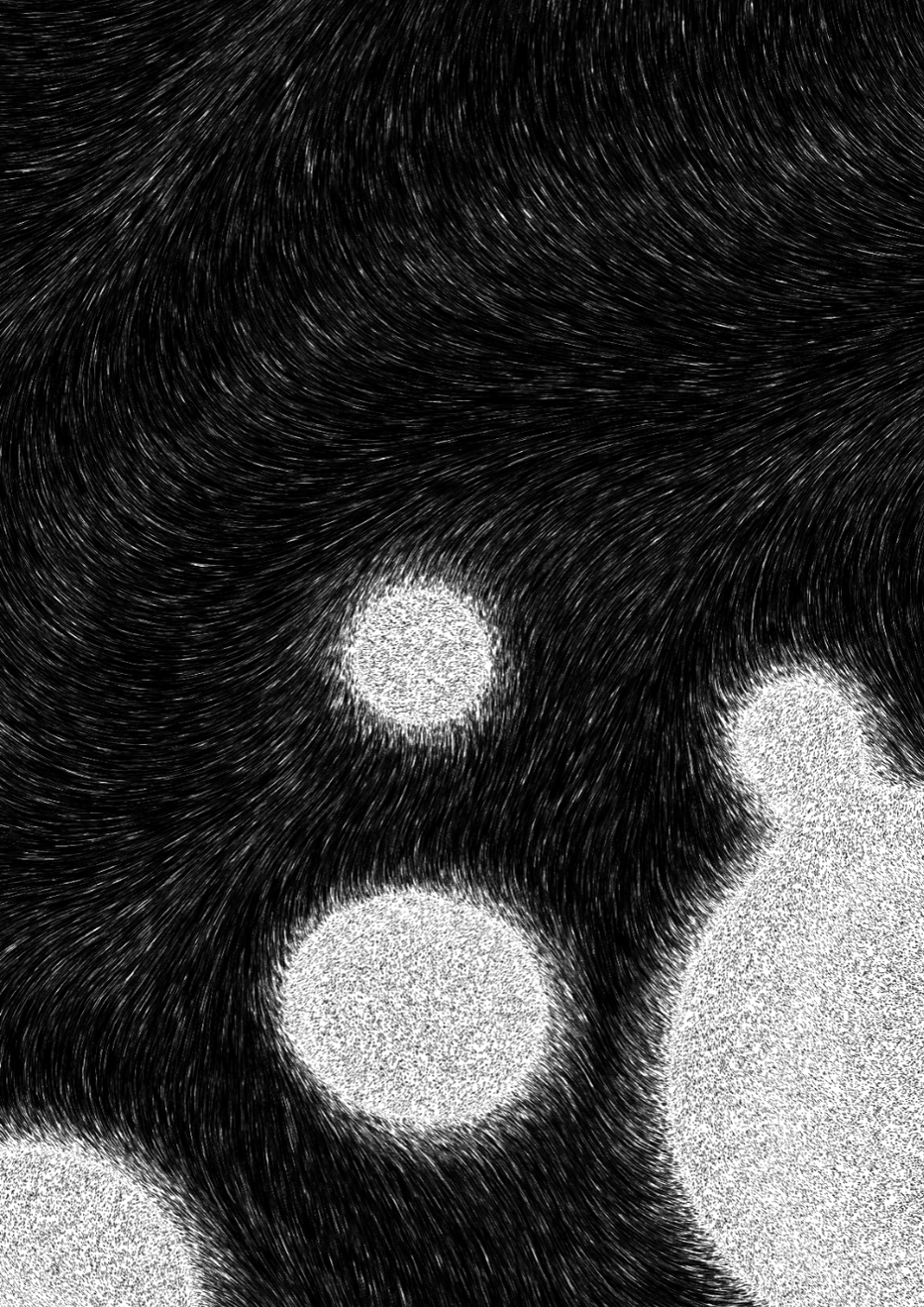Flux #21