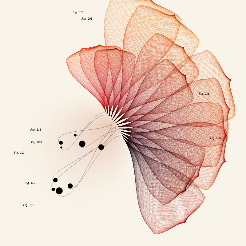 Herbarium #817