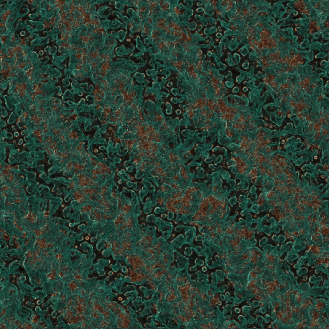 saprophyte #144