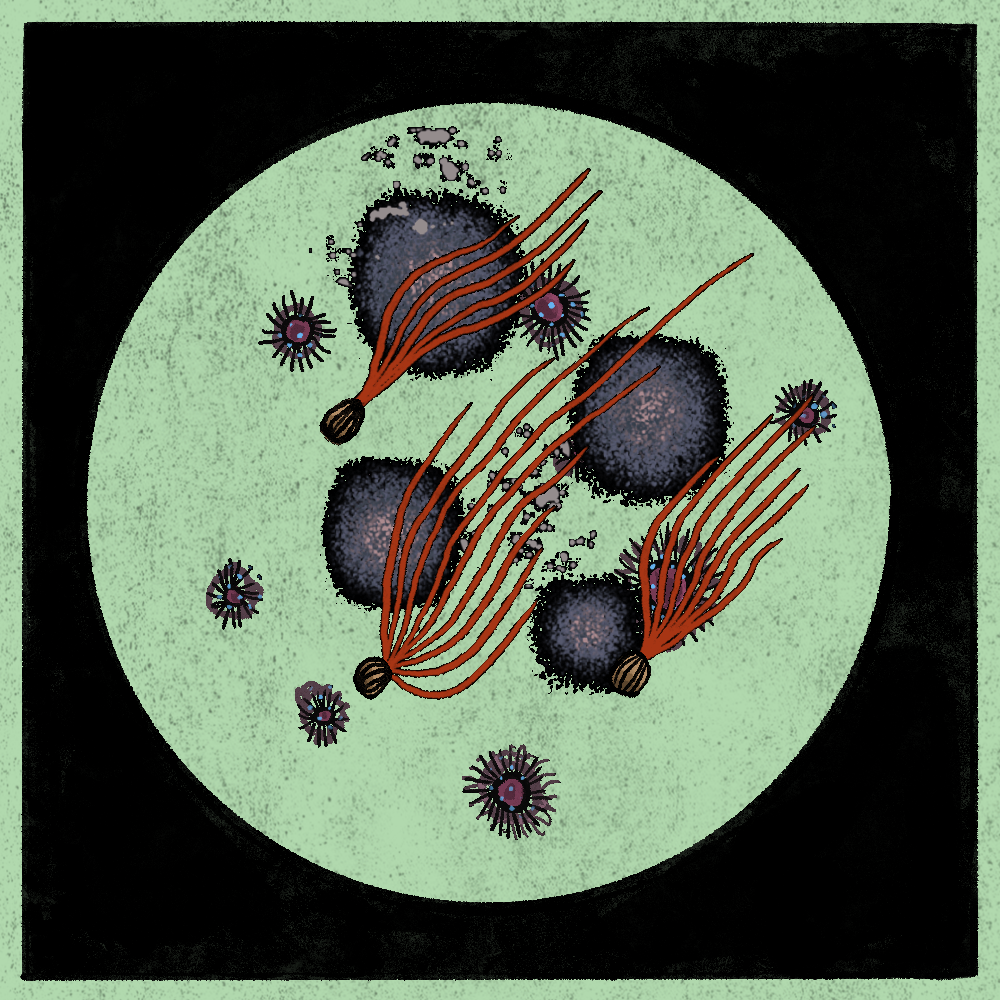 Microbes #22