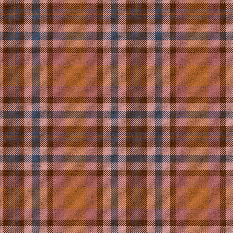 Tartan Cloth #27