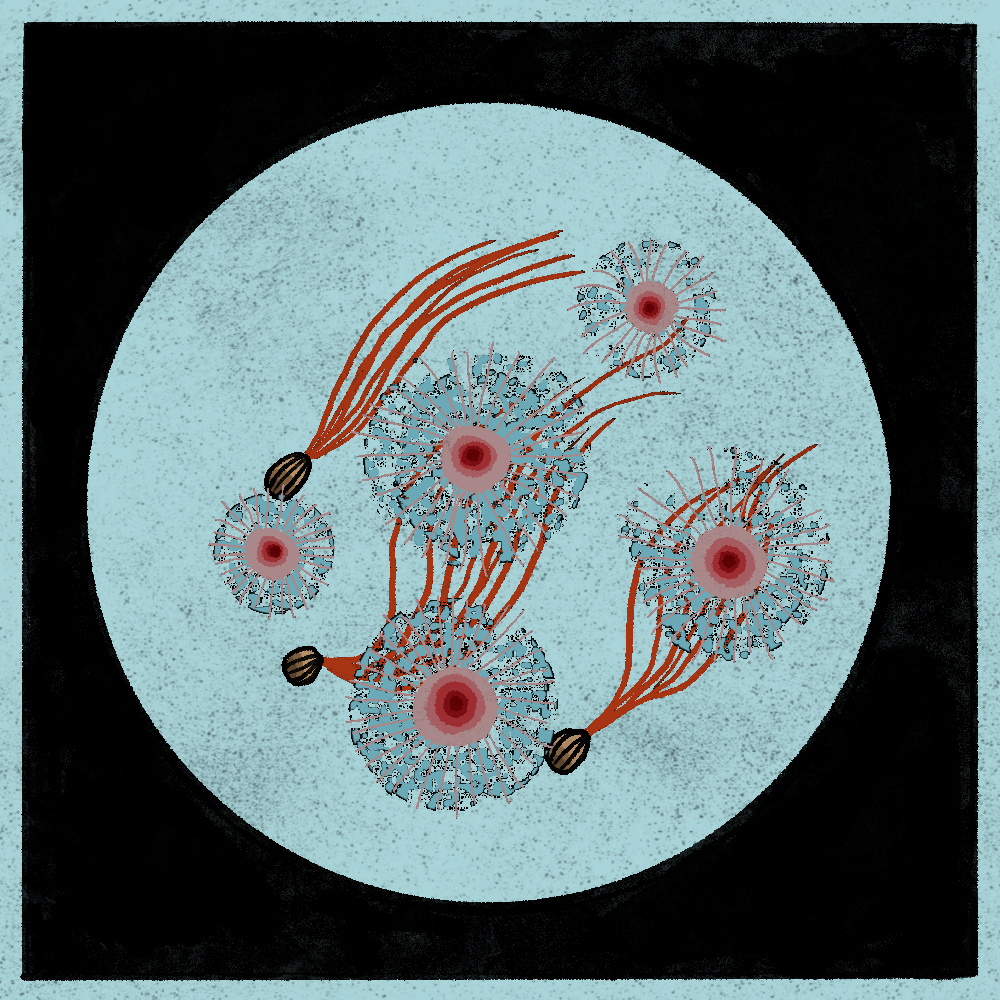 Microbes #138