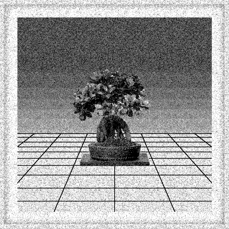 Bonsai Bonanza #331