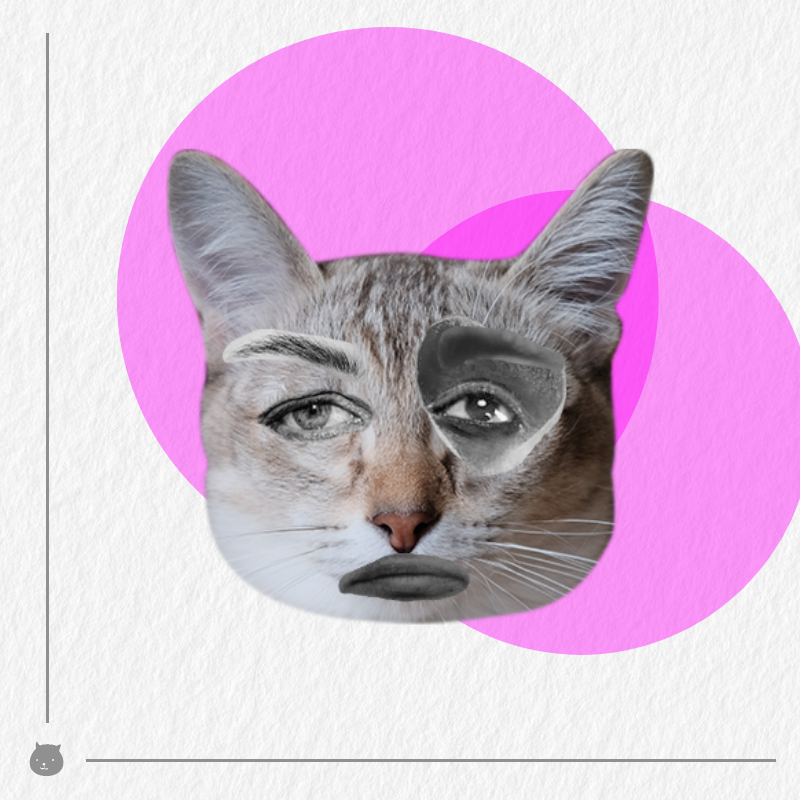Kittenstein #28