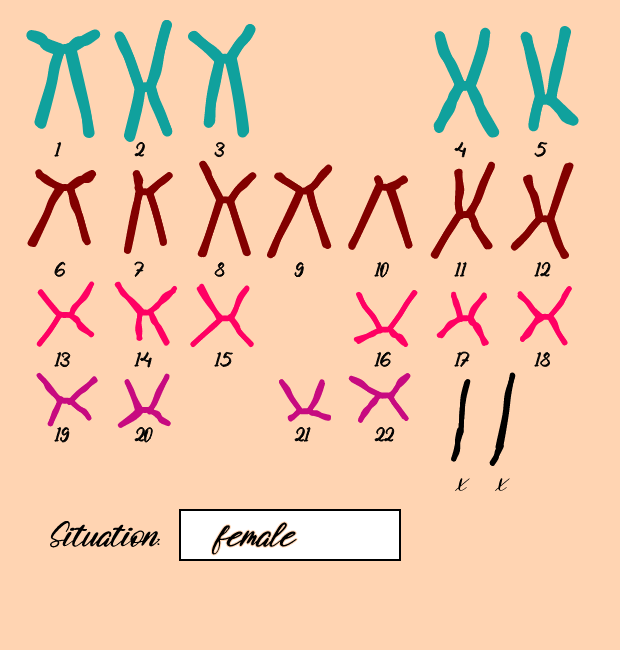 "Karyotype" #17