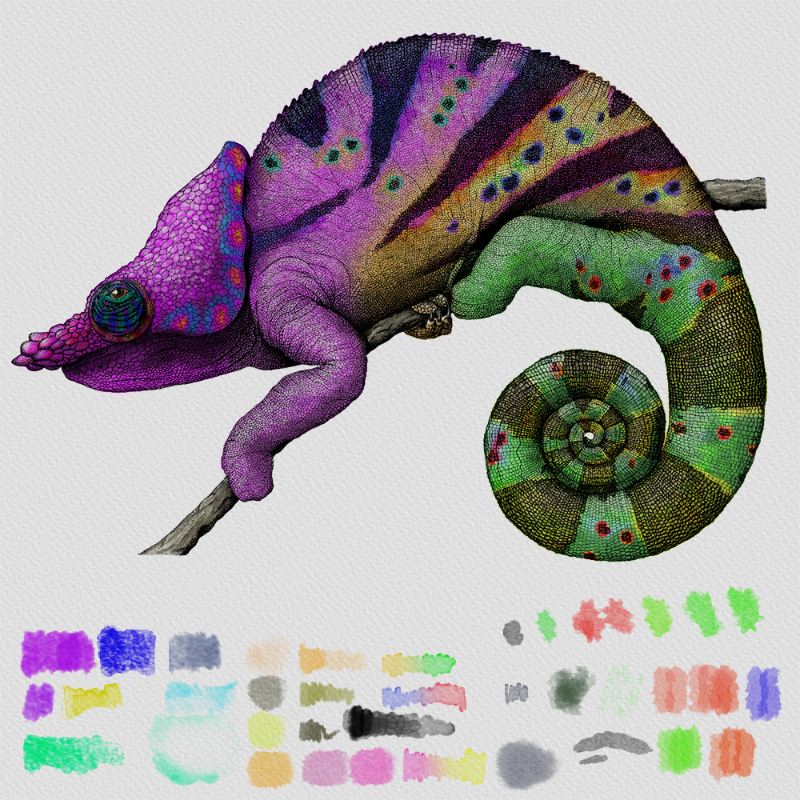 Colorful Cameleon #28