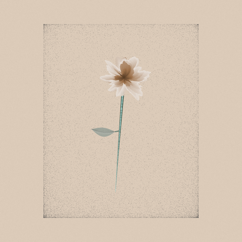 Magnolia #67