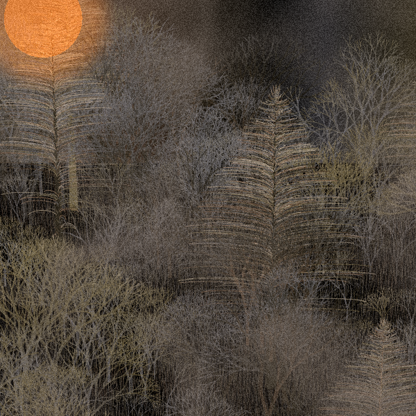 Moonlit Native Bush #75