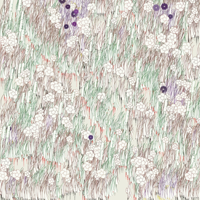 Petri 1500 #199