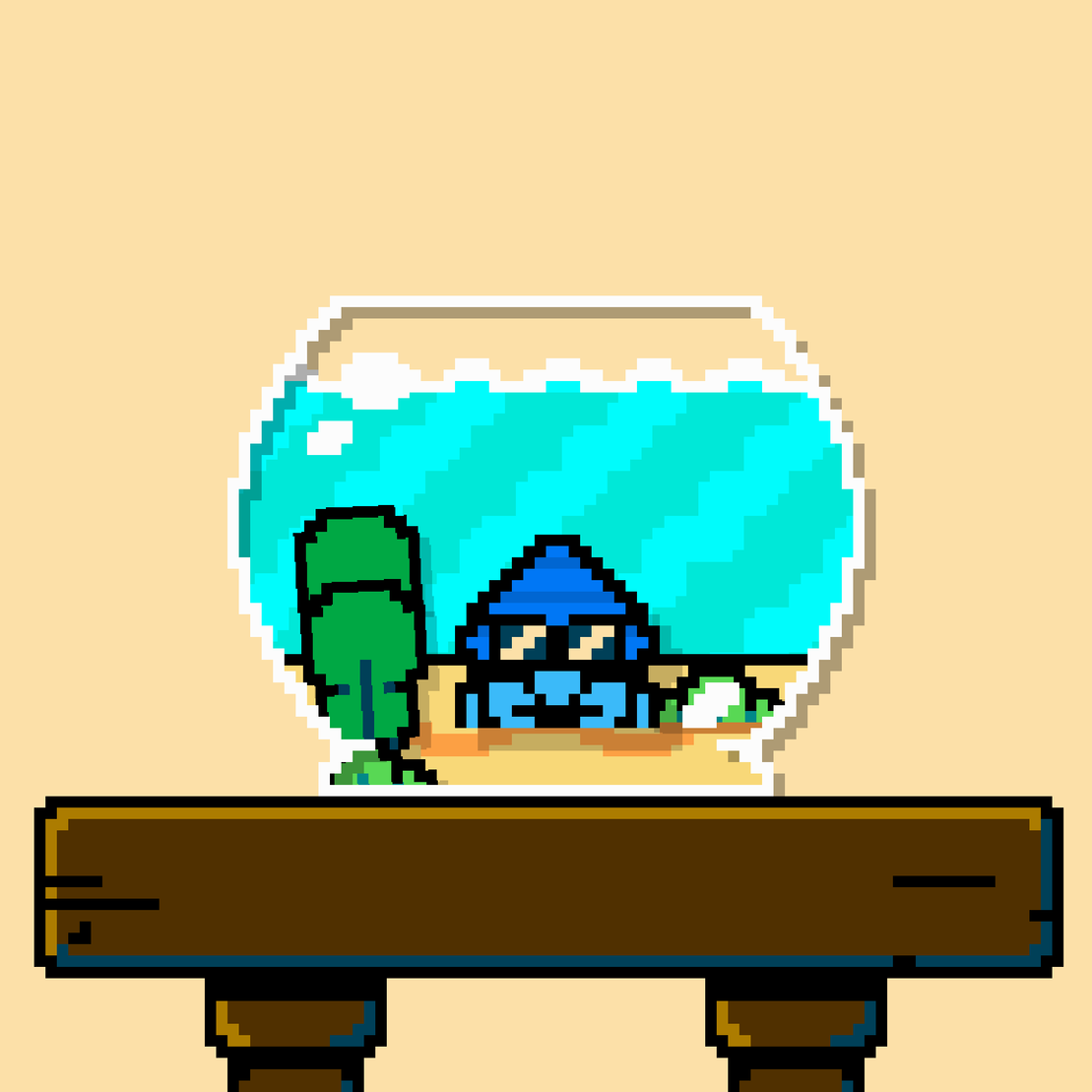 hermit crab #177