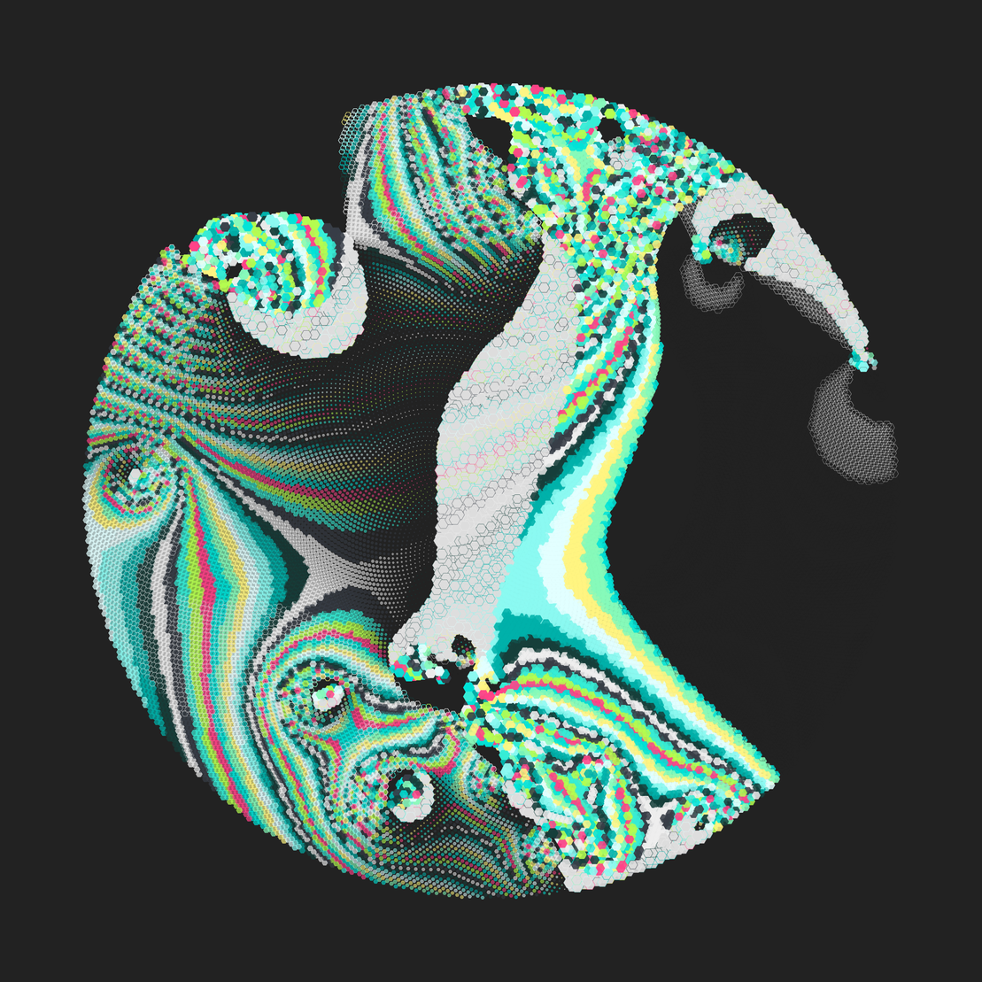 Still C #21823