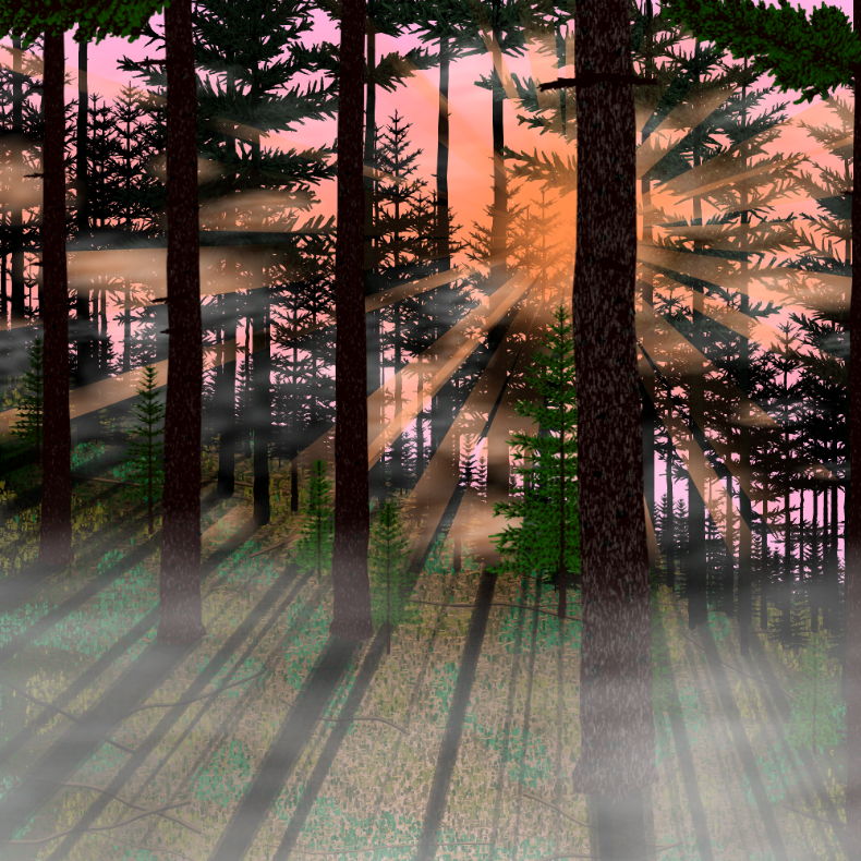 Forest Sunrise #6