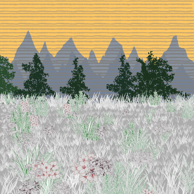 Mountain Meadows #9