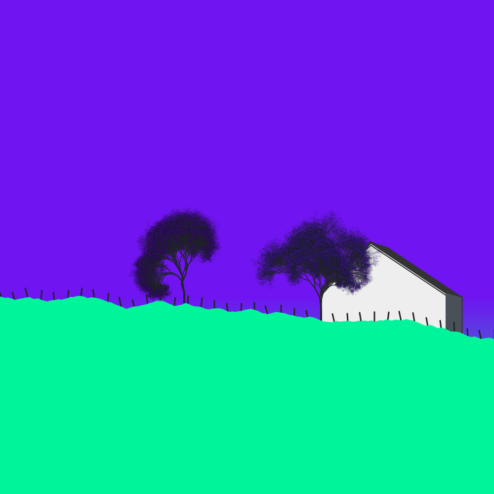 Houses of the Holy #38
