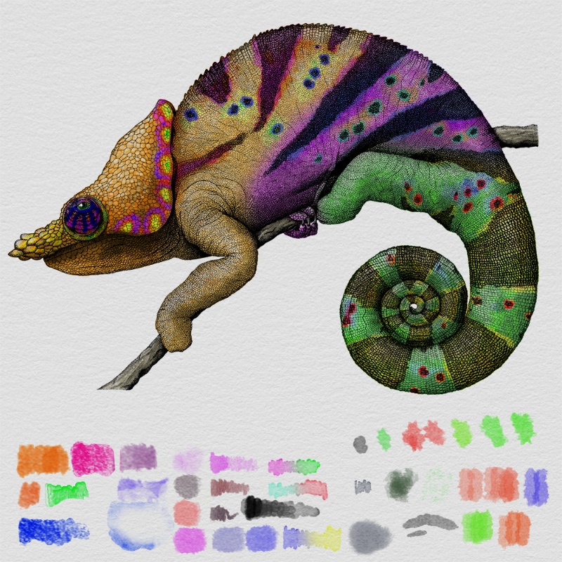 Colorful Cameleon #5