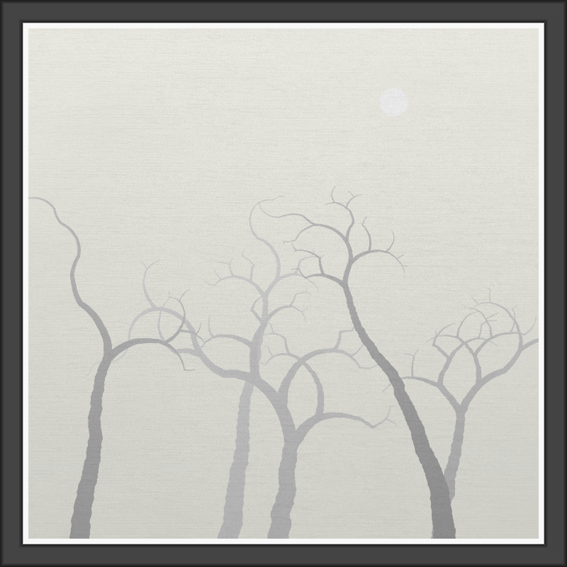 The Foggy Trees #92